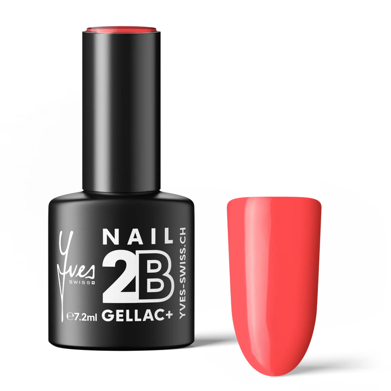 2B No. 013