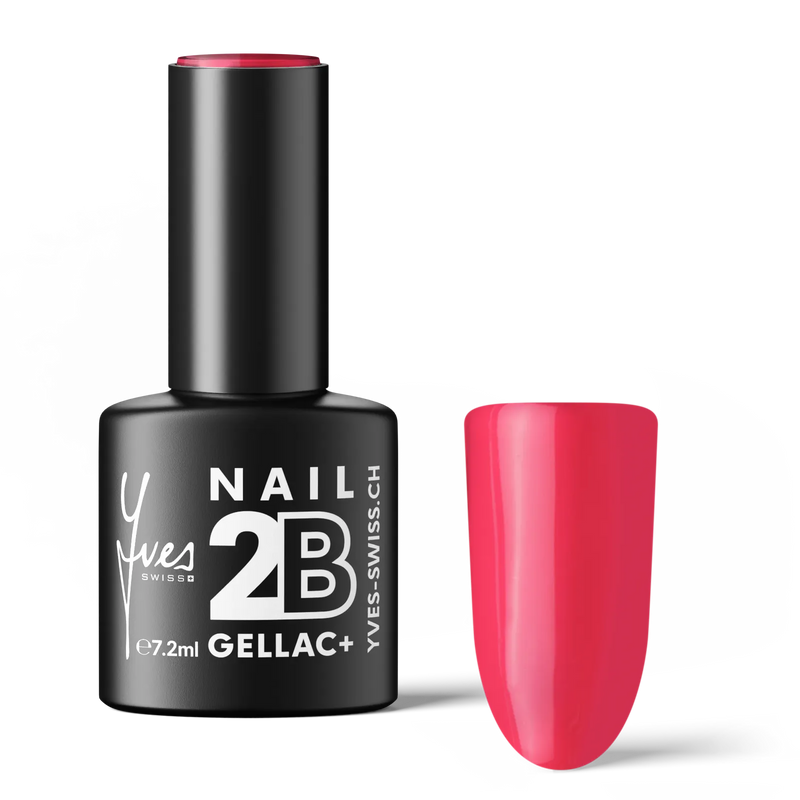 2B No. 015