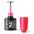 2B No. 019