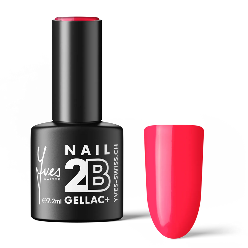 2B No. 019