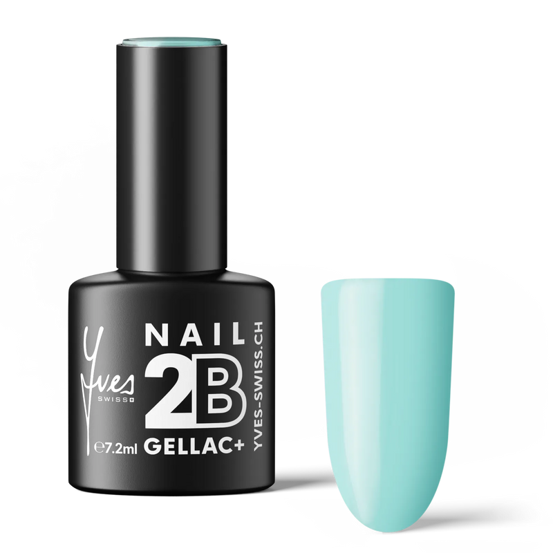 2B No. 029