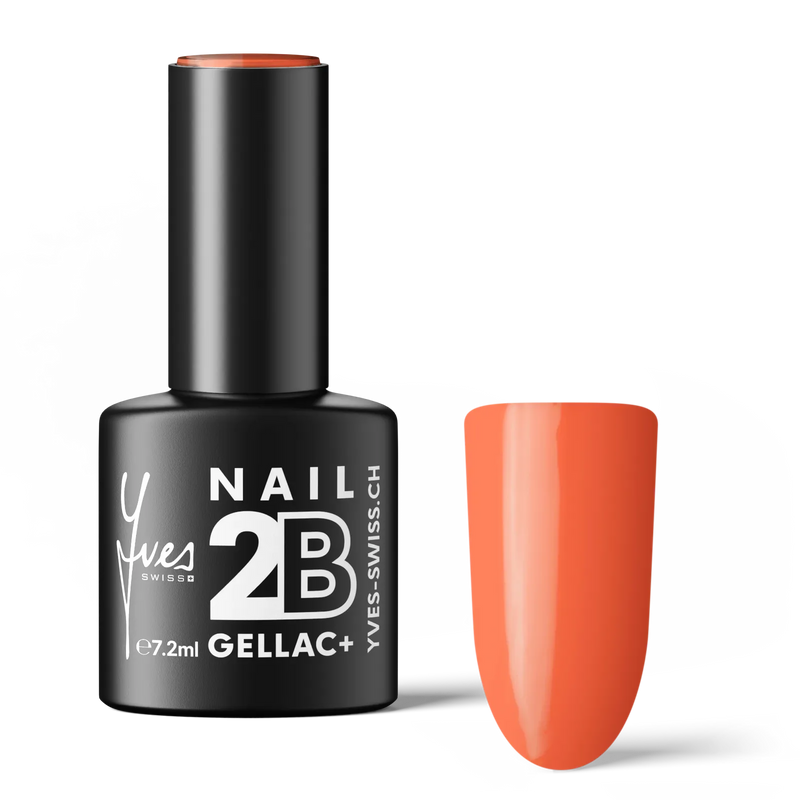 2B No. 039
