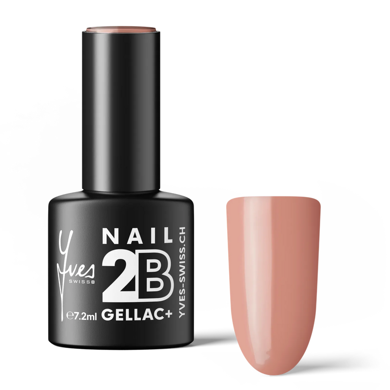 2B No. 041