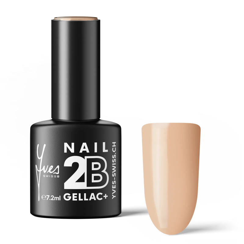 2B No. 042