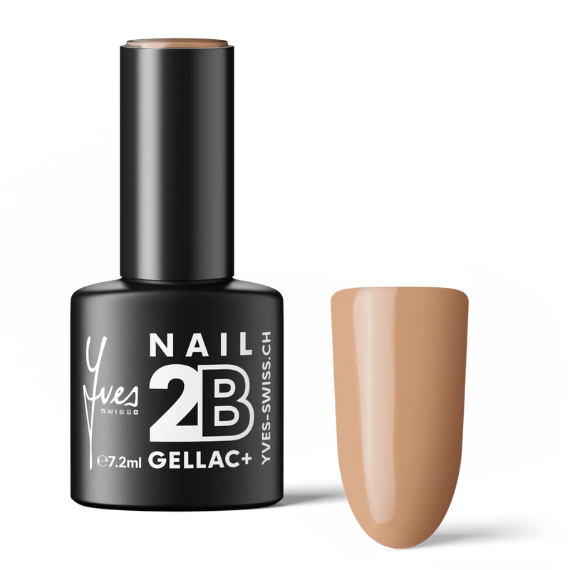 2B No. 044