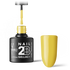 2B No. 049
