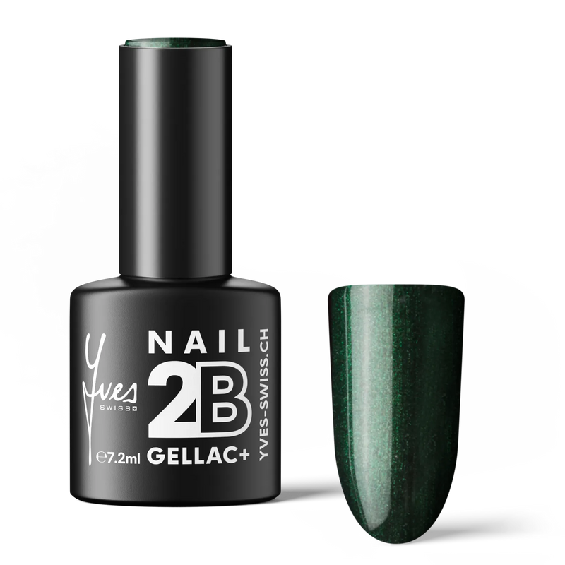 2B No. 065