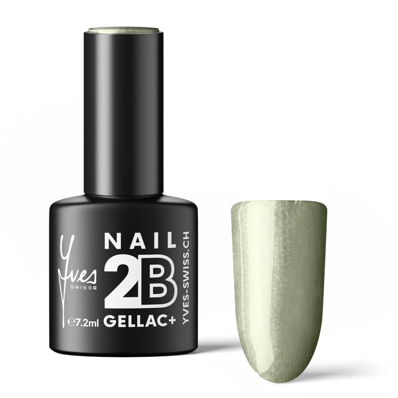 2B No. 072