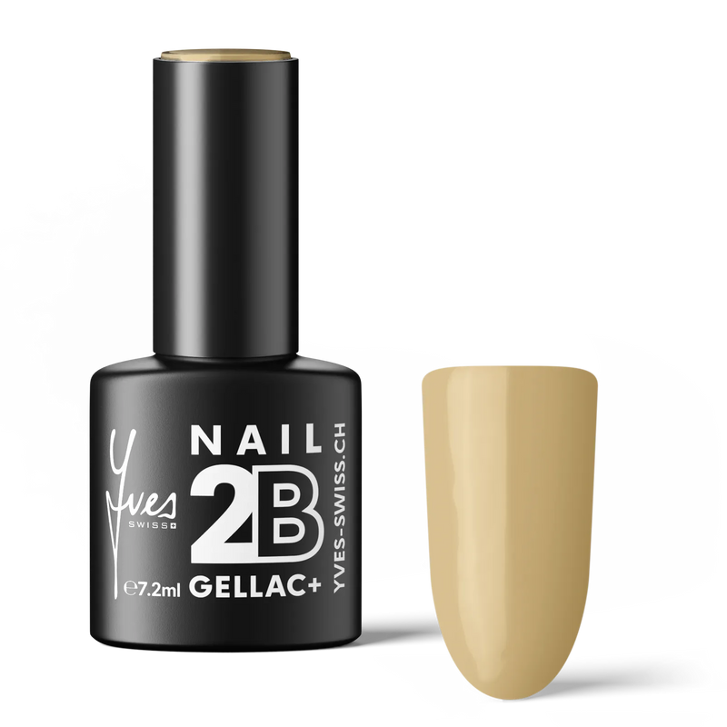 2B No. 079