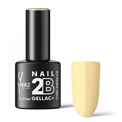 2B No. 113 Panna Cotta