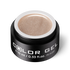 Color Gel X 229