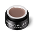 Color Gel S 321