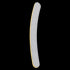 File Boomerang 080/080 zebra (50)