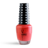 YS Nail Polish No. 009