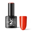 2B No. 006