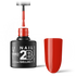 2B No. 007
