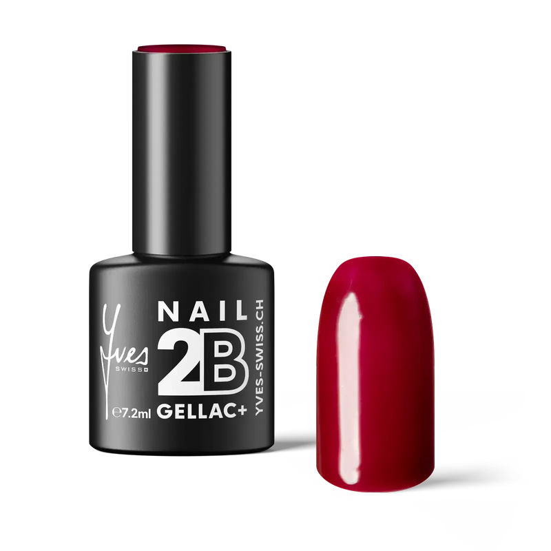 2B No. 009 Dark Maroon