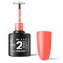2B No. 014