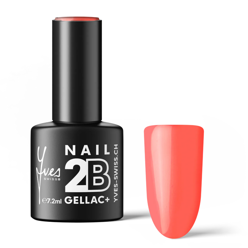 2B No. 014