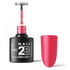 2B No. 015