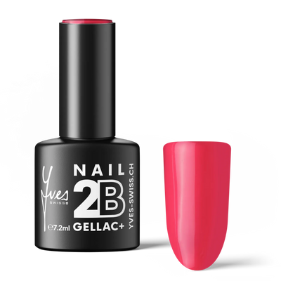 2B No. 015
