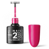 2B No. 017