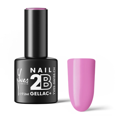 2B No. 018