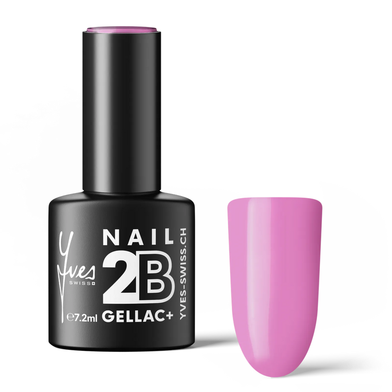 2B No. 018