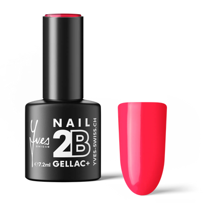 2B No. 019