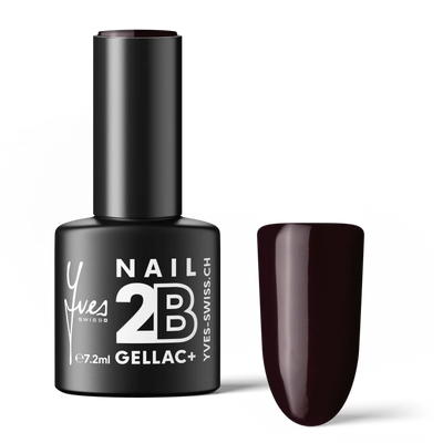 2B No. 021