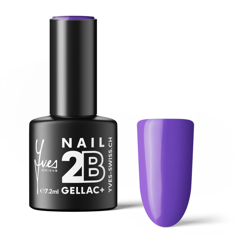 2B No. 025