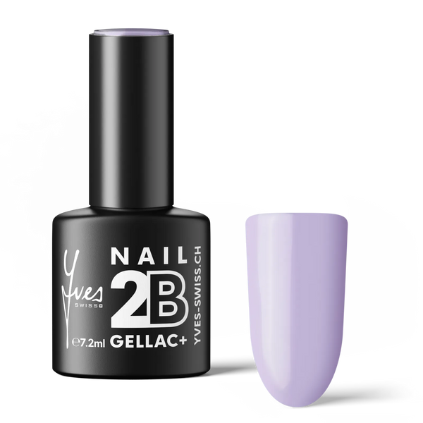2B No. 027