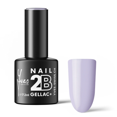 2B No. 028