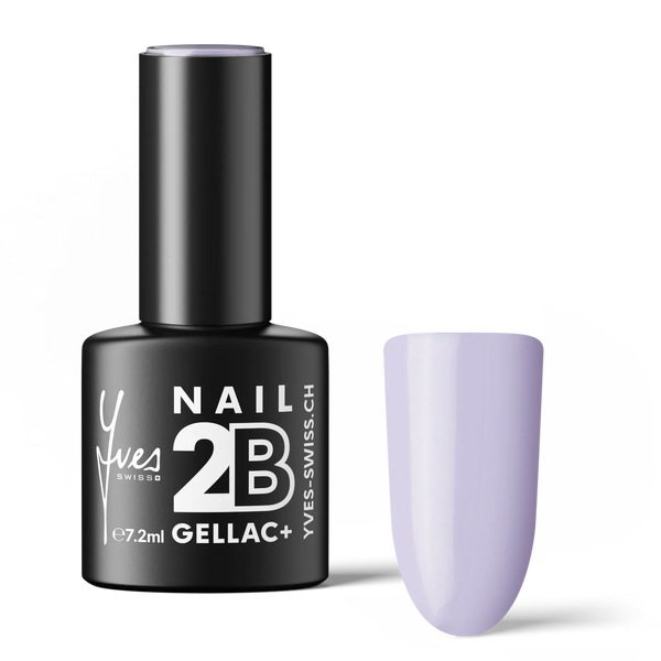 2B No. 028
