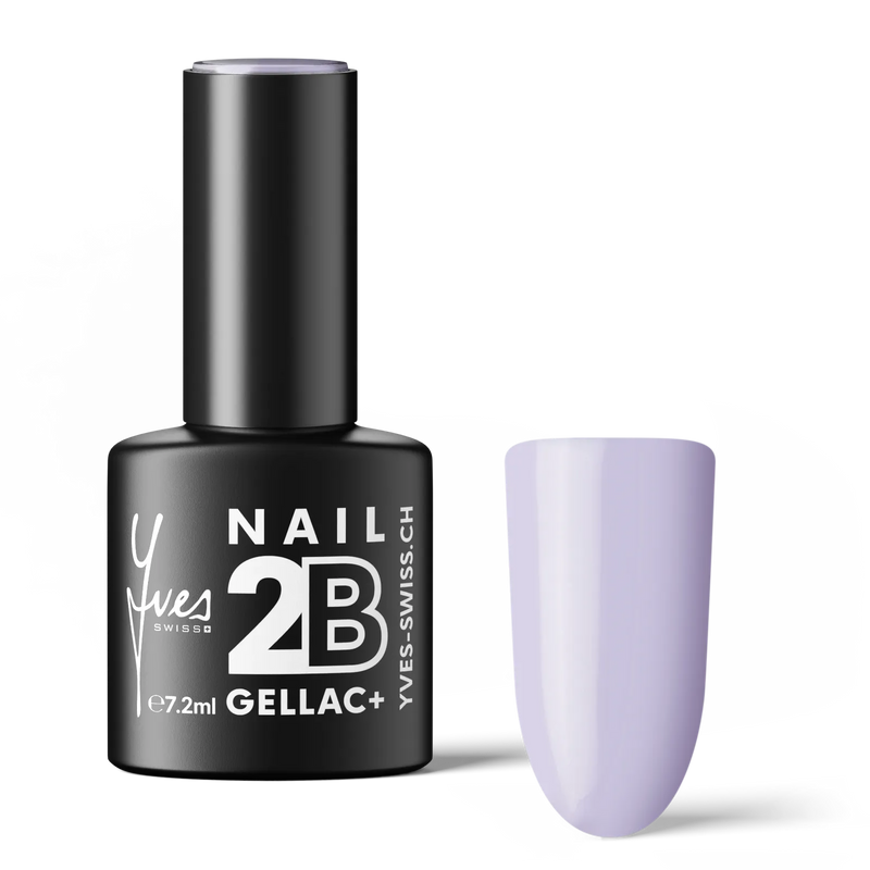 2B No. 028