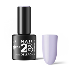 2B No. 028