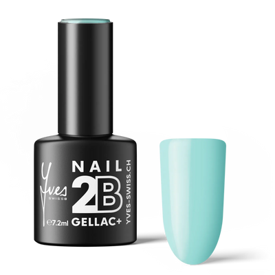 2B No. 029