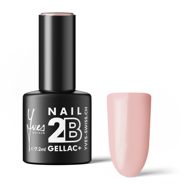 2B No. 032