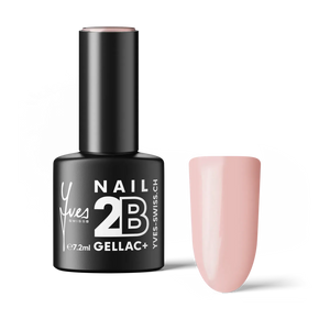 2B No. 032