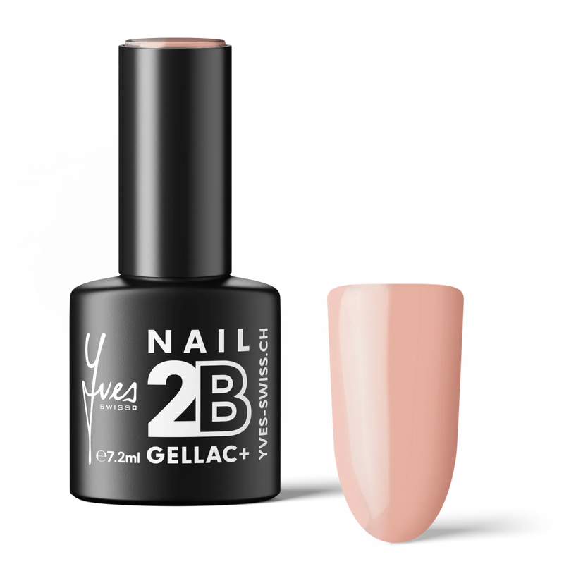 2B No. 043