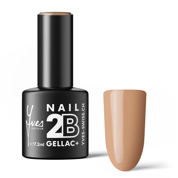 2B No. 044