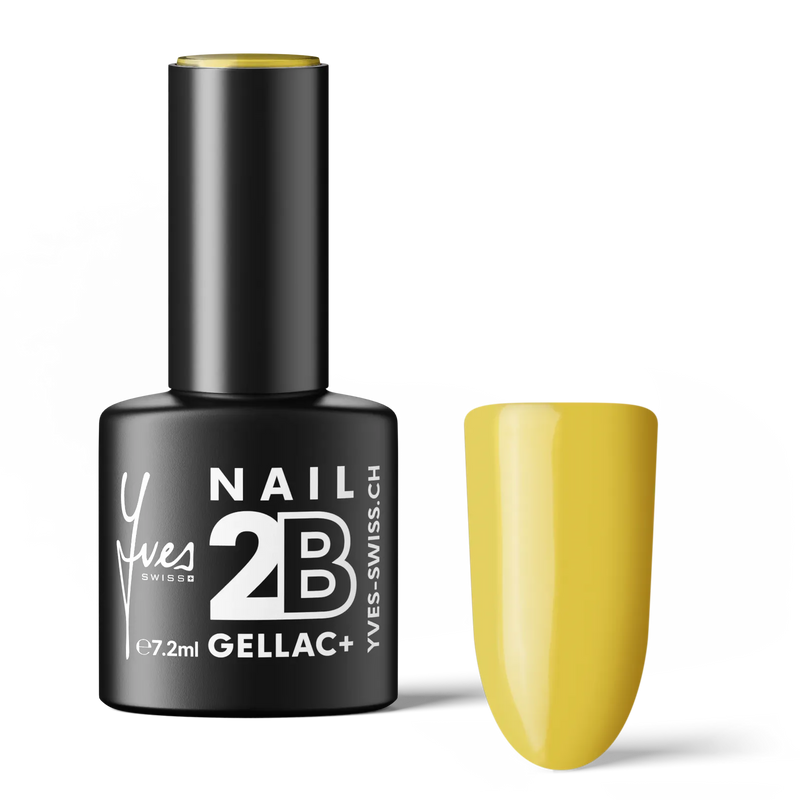 2B No. 049
