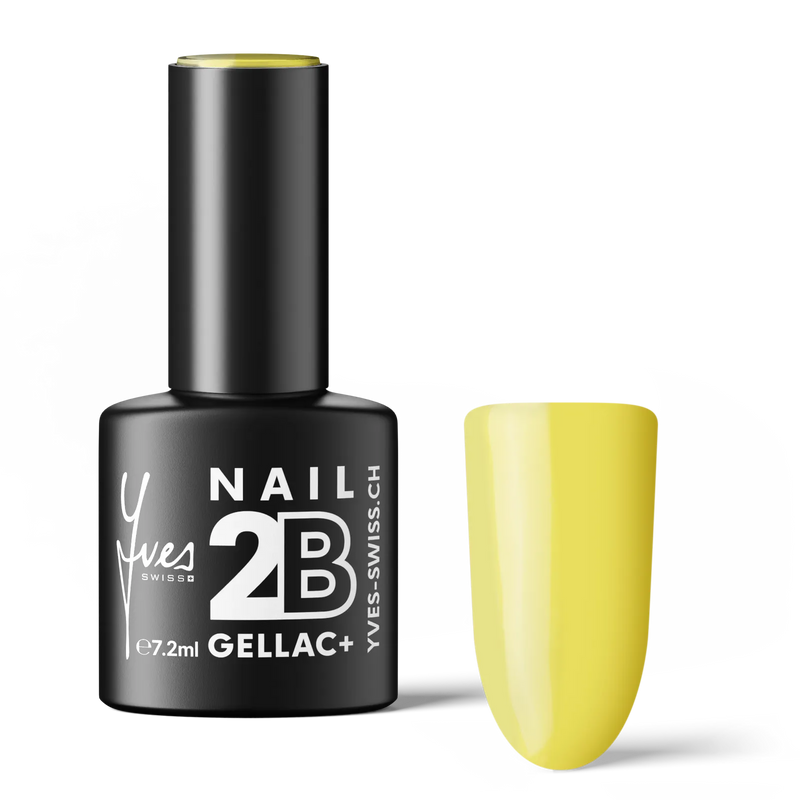 2B No. 050