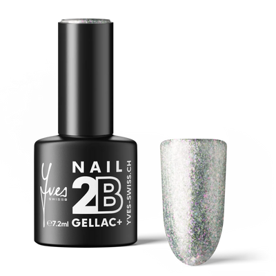 2B No. 051