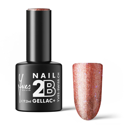 2B No. 058