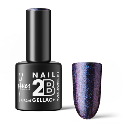2B No. 064