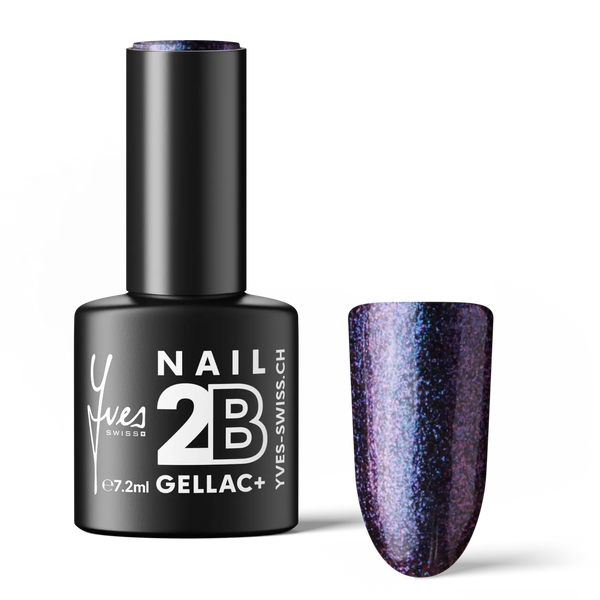 2B No. 064