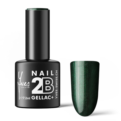 2B No. 065