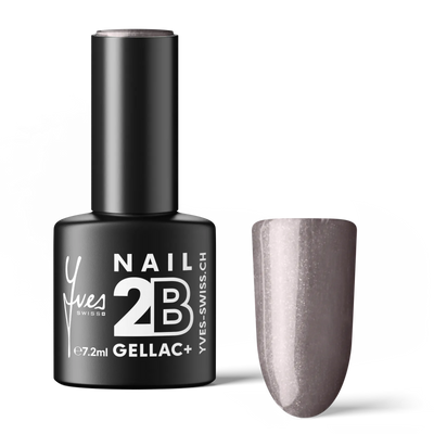 2B No. 077