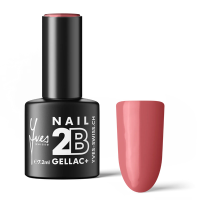 2B No. 081